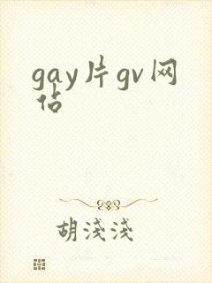gay片gv网站
