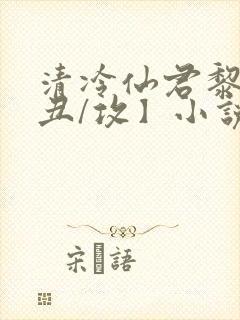 清冷仙君黎锦【丑/攻】小说