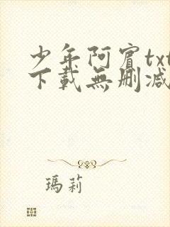 少年阿宾txt下载无删减