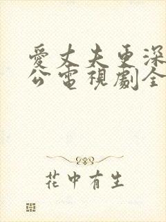 爱丈夫更深爱公公电视剧全集免费观看