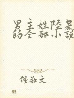 男主姓陆是总裁的全部小说