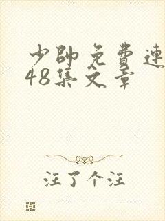 少帅免费连续剧48集文章