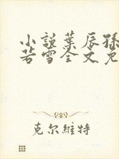 小说叶辰孙怡夏若雪全文免费阅读