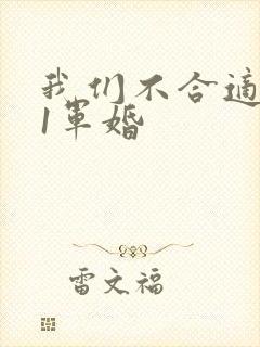 我们不合适1v1军婚封面