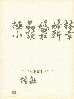 极品媳妇林小雅小说最新章节内容