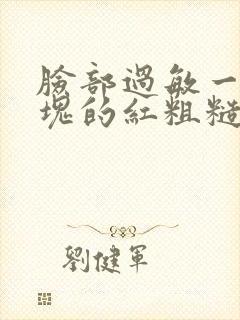 脸部过敏一块一块的红粗糙封面