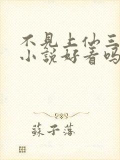 不见上仙三百年小说好看吗