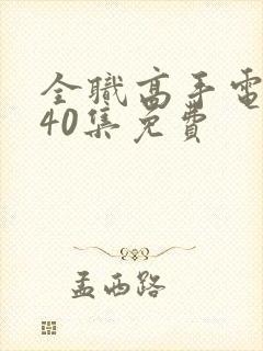 全职高手电视剧40集免费封面