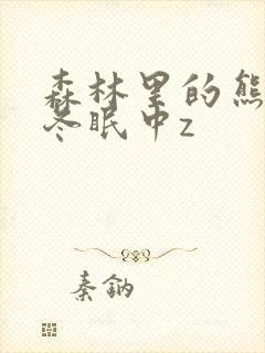 森林里的熊先生冬眠中z