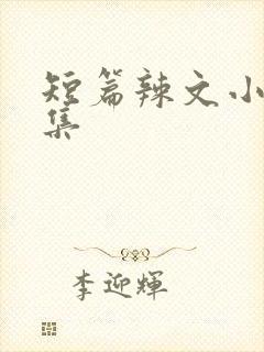 短篇辣文小说合集封面