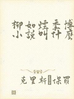 柳如烟季博达的小说叫什么