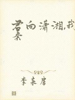 君向潇湘,我向秦封面