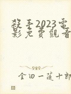杀手2023电影免费观看完整版