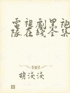 电视剧黑袍纠察队在线全集免费观看