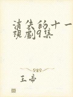 消失的十一层电视剧9集