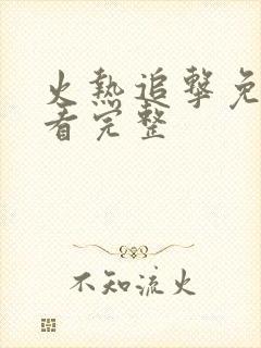 火热追击免费观看完整