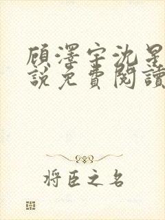 顾泽宇沈星晚小说免费阅读最新章节封面