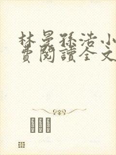 林曼孙浩小说免费阅读全文最新章节