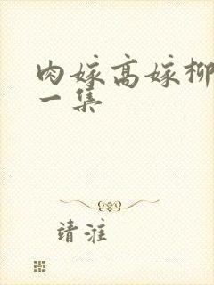 肉嫁高嫁柳家第一集