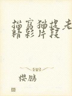 描写猫捉老鼠的精彩片段