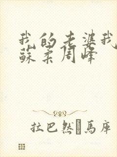 我的老婆我的妻苏柔周峰封面