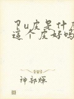 卩u皮是什么皮这个皮好吗封面