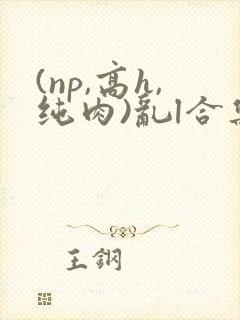 (np,高h,纯肉)乱l合集封面