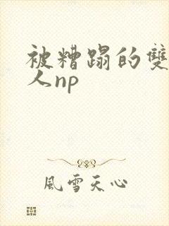 被糟蹋的双性美人np封面