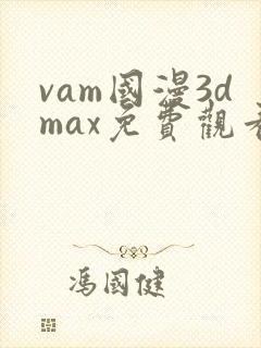 vam国漫3dmax免费观看