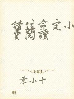 错位命定小说免费阅读封面