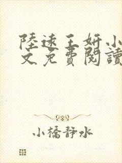 陆远王妍小说全文免费阅读