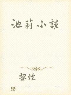 池莉小说