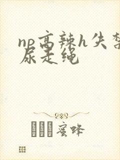 np高辣h失禁尿走绳
