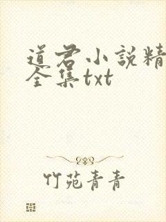 道君小说精校版全集txt