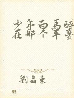 少年白马醉春风在哪个平台播放