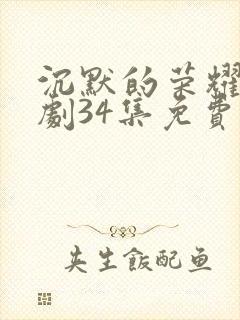 沉默的荣耀电视剧34集免费观看