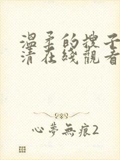 温柔的搜子2高清在线观看
