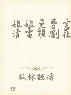 姐姐免费完整高清电视剧在线看外国