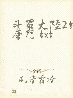 斗罗大陆2绝世唐门 txt