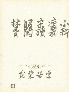 林昭宋凛小说免费阅读最新章节更新