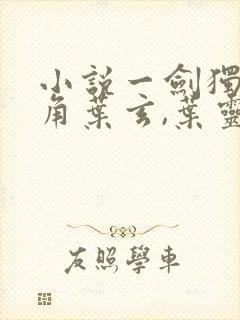 小说一剑独尊主角叶玄,叶灵封面