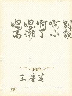 嗯嗯啊啊别干了高潮了小说