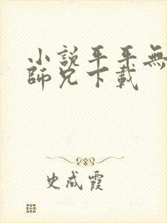 小说平平无奇大师兄下载