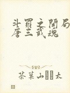 斗罗之开局揭露唐三武魂