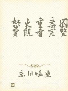 怒火重案国语免费观看完整版