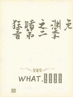 狂赌之渊免费观看第二季封面