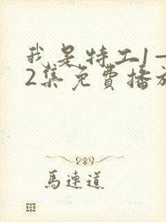 我是特工1—42集免费播放电视剧