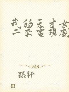 我的天才女友第二季电视剧