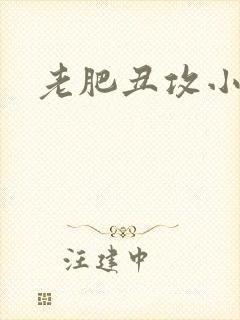 老肥丑攻小说封面