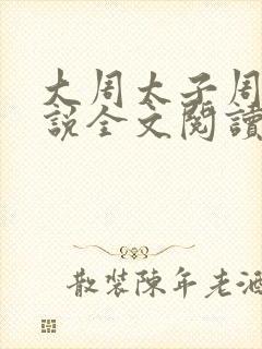 大周太子周铮小说全文阅读无弹窗